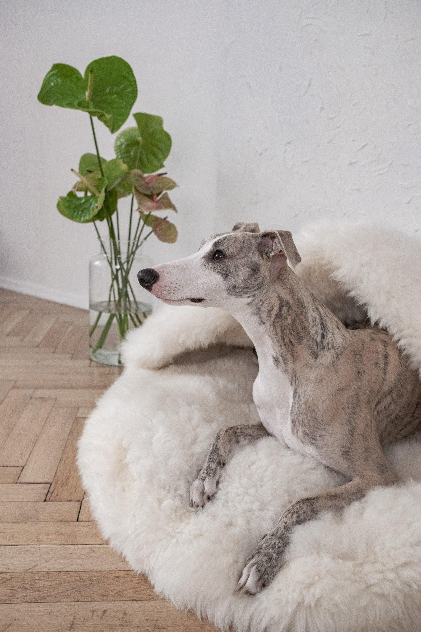 Natural Sheepskin Pet Cave - White-2
