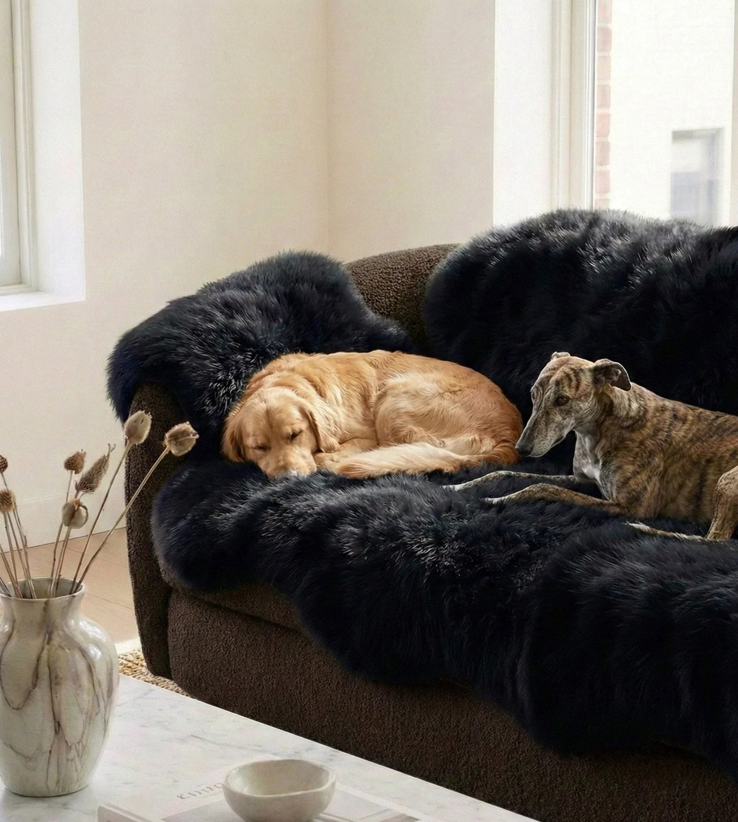 Genuine Black Sheepskin Couch Cover for Dogs — Natural Sofa Protector (Plastic-Free)-2