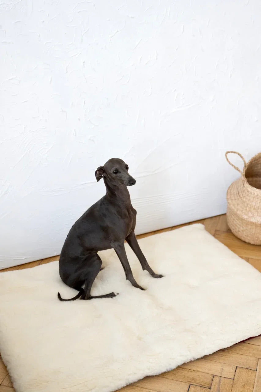 Square or Rectangular Natural Woolen Pet Mat - White-1