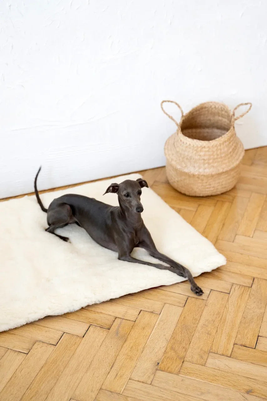 Square or Rectangular Natural Woolen Pet Mat - White-0