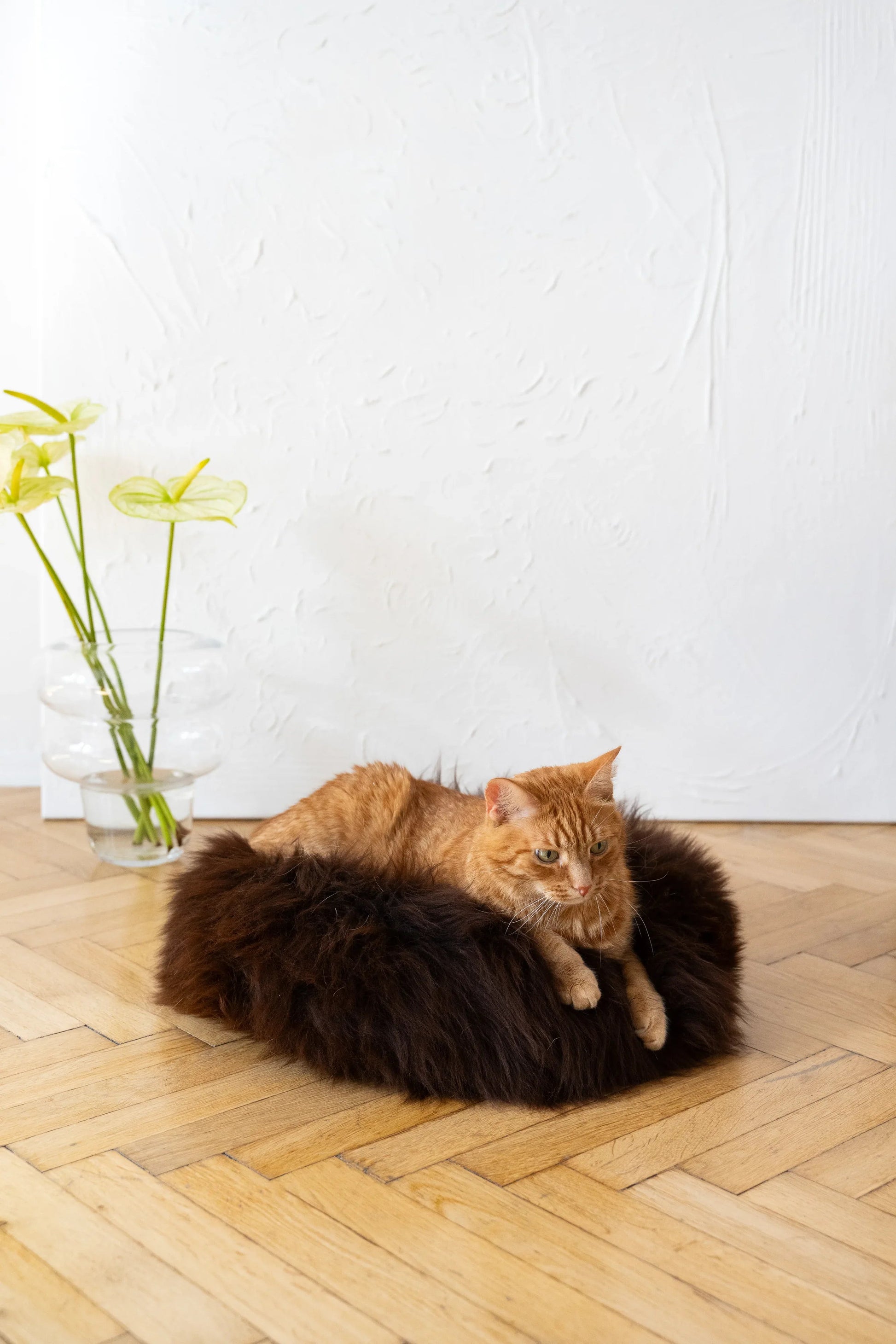 Round Natural Sheepskin Pet Bed - Brown-3