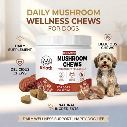 Dogs Mushroom Chews Nourishing Skin Improve Fur Luster Enhance Defense Ability Maintain Joint Flexibility Dog Dietary Supplement