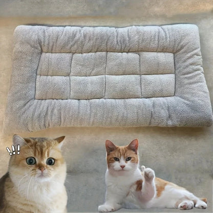 Plush Dog Bed – Soft Thick Pet Sofa Mat for Small to Large Dogs