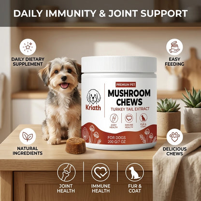 Dogs Mushroom Chews Nourishing Skin Improve Fur Luster Enhance Defense Ability Maintain Joint Flexibility Dog Dietary Supplement
