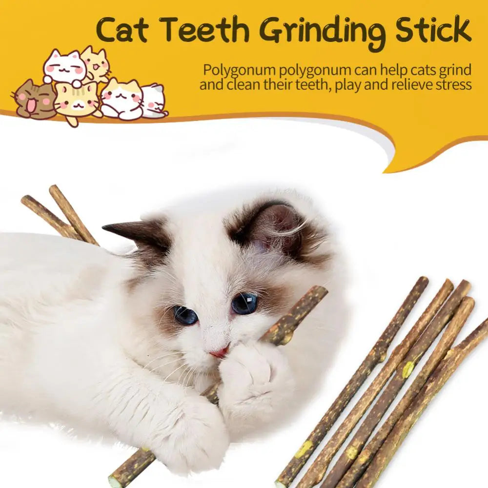 100pcs/lot Natural Matatabi Pet Cat Snacks Sticks Cleaning Tooth Catnip Cat Toys Actinidia Silvervine Pet Toy For Cats