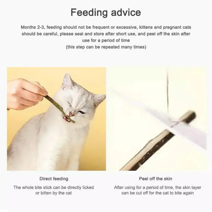 6pcs Natural Matatabi Cat Stick Mint Caught Bite Excited Rods Silvervine For Cat Teeth Cleaning Treating Pet Supply Cat Toys