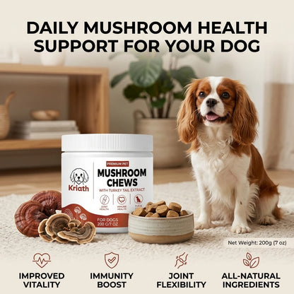 Dogs Mushroom Chews Nourishing Skin Improve Fur Luster Enhance Defense Ability Maintain Joint Flexibility Dog Dietary Supplement
