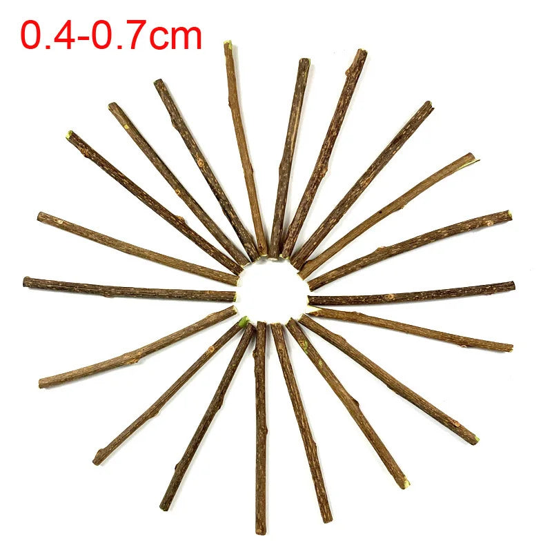100Pcs