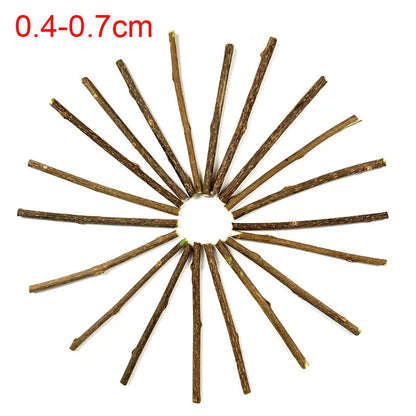 100pcs/lot Natural Matatabi Pet Cat Snacks Sticks Cleaning Tooth Catnip Cat Toys Actinidia Silvervine Pet Toy For Cats