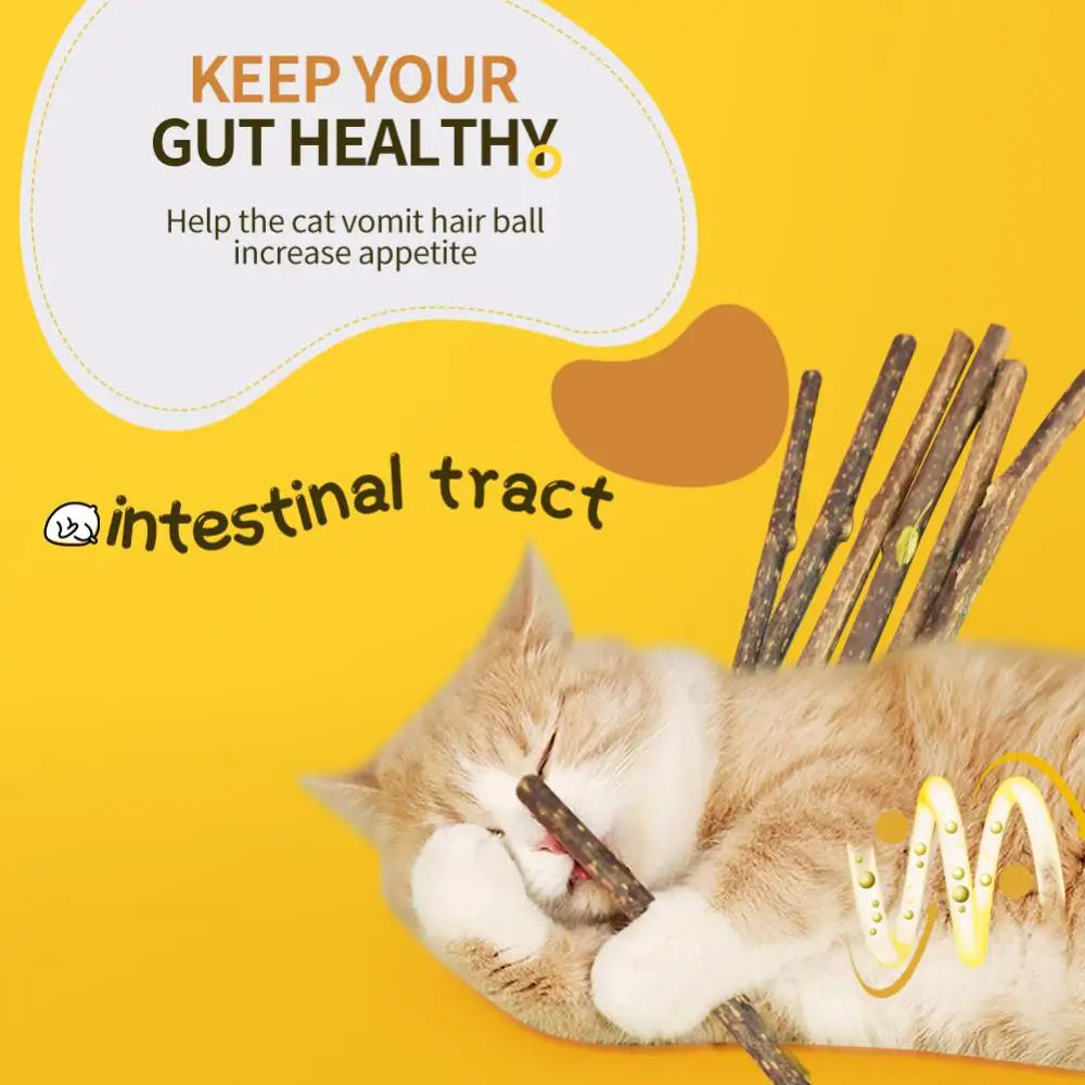 100pcs/lot Natural Matatabi Pet Cat Snacks Sticks Cleaning Tooth Catnip Cat Toys Actinidia Silvervine Pet Toy For Cats