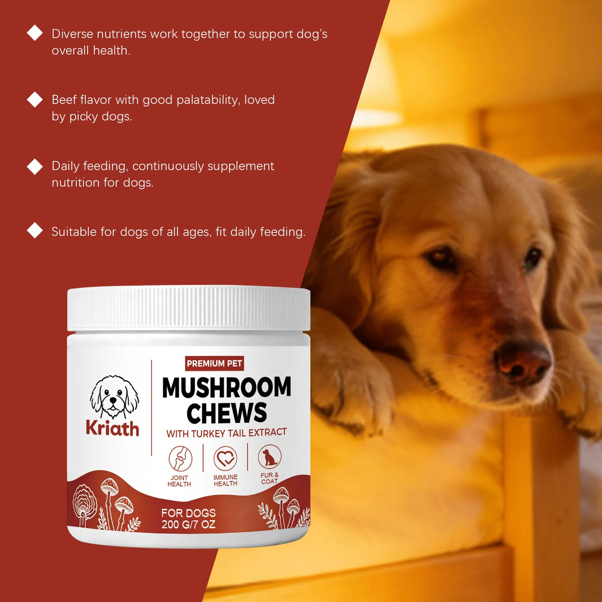 Dogs Mushroom Chews Nourishing Skin Improve Fur Luster Enhance Defense Ability Maintain Joint Flexibility Dog Dietary Supplement