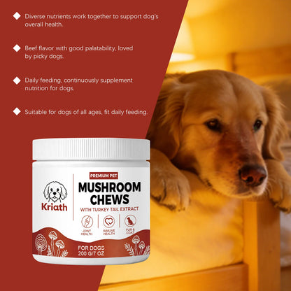 Dogs Mushroom Chews Nourishing Skin Improve Fur Luster Enhance Defense Ability Maintain Joint Flexibility Dog Dietary Supplement